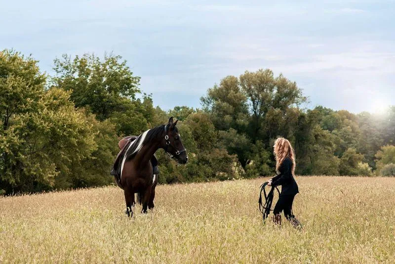 Person with horse learning about body and mind connection
