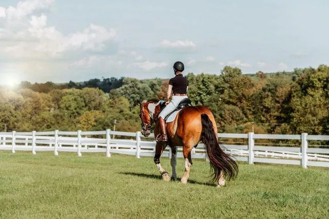 Rider demonstrating unique horse training perspective